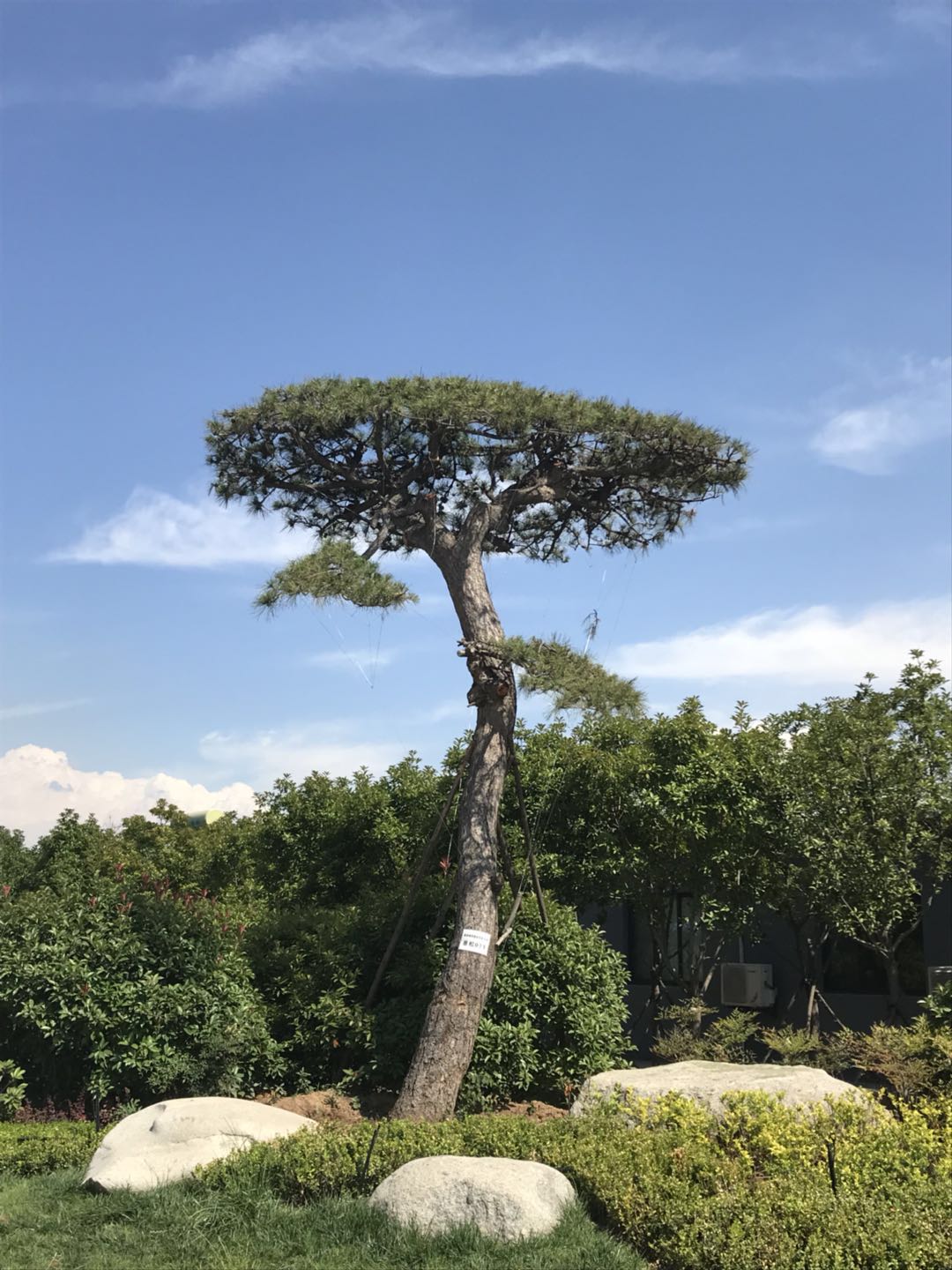 工地实景案例