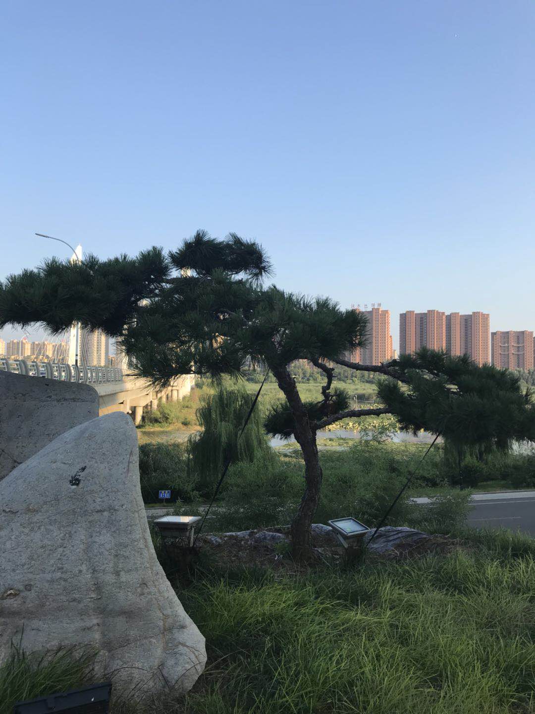 工地实景案例